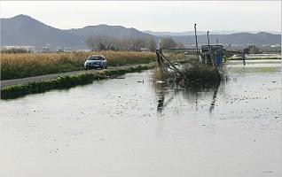 La últimas lluvias están recargando los humedales del Camp de Morvedre.  tortajada